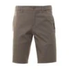 BOSS Mens Liem Shorts Pastel Green Beige -Boss Shop boss mens liem shorts pastel green beige p43663 278909 zoom