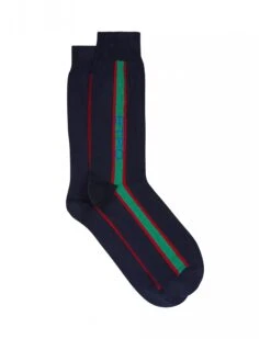 Etro Mens Blue Vertical Stripe Logo Socks