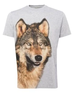 Etro Mens Photographic Wolf Print T Shirt, Grey Tee