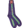Etro Mens Purple Vertical Stripe Logo Socks