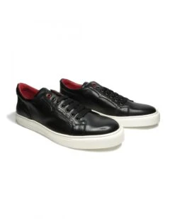 Jeffery West Shoes Mens Apollo Trainer Black Toledo