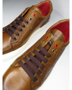 Jeffery West Shoes Mens Apollo Trainer Castano Dark Tan -Boss Shop jeffery west shoes mens apollo trainer castano dark tan p44110 279408 zoom