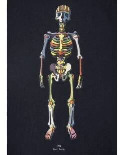 Paul Smith Mens Striped Skeleton Print T Shirt, Dark Navy Tee 13 Paul Smith Mens Striped Skeleton Print T Shirt, Dark Navy Tee -Boss Shop paul smith mens striped skeleton print t shirt dark navy tee p41543 260003 zoom