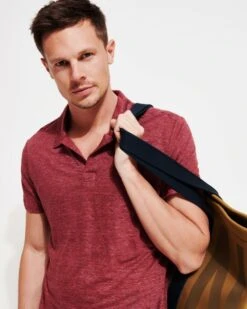 Vilebrequin Mens Burgundy Linen Jersey Polo Shirt 13 Vilebrequin Mens Burgundy Linen Jersey Polo Shirt -Boss Shop vilebrequin mens burgundy linen jersey polo shirt p43357 260283 image