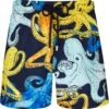 Vilebrequin Mens Pouples Aquarelle Octopus Shorts Marine Blue Navy -Boss Shop vilebrequin mens pouples aquarelle octopus shorts marine blue navy p44345 284042 zoom